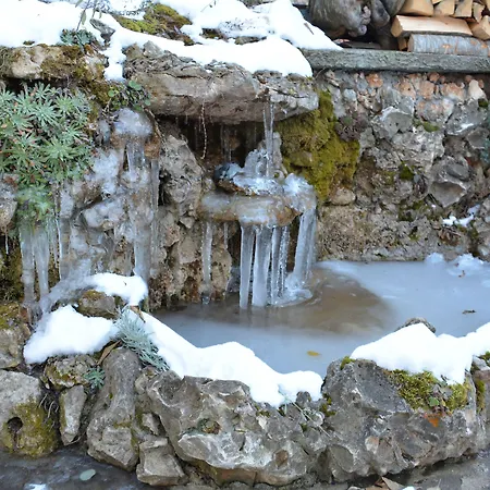 Trenchova 게스트하우스 3*