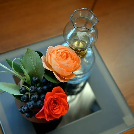 게스트하우스 Trenchova 반스코