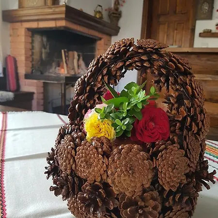 Maison d'hôtes Trenchova