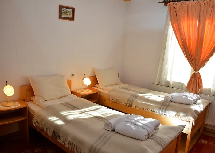 Trenchova 招待所 3*