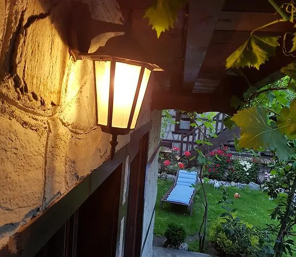 招待所 Trenchova 3*